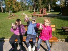 Soutěž ve sběru kaštanů