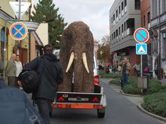 Mamut jede do Slováckého muzea a školka byla při tom