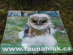 Draví ptáci ve školní zahradě