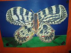 Úspěch žáků VII. třídy