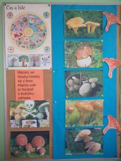 P1010691.JPG, 240x320, 16.84 KB