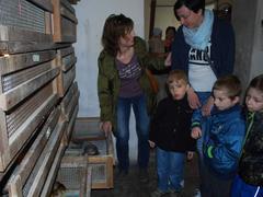 Líheň kuřátek v Kunovicích