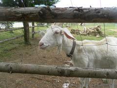 VÝLET DO BORŠIC "NA HALDU"