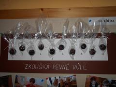 Zkouška pevné vůle