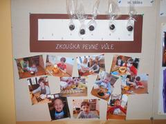 Zkouška pevné vůle