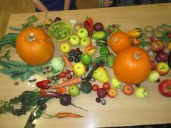 Podzimní pozdrav z VI. třídy