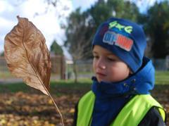Listopadové plnění projektu "Tajuplná zahrada"