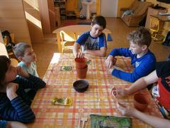 Cukráři, zahradníci, zálesáci...