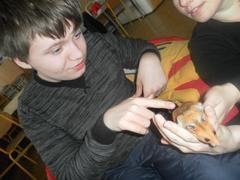 Zooterapie v I. a III. třídě