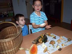 Učíme se o houbách a lese