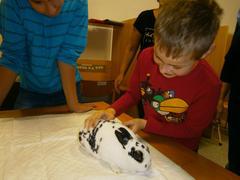 Zooterapie v V. třídě