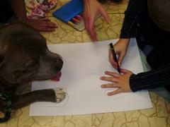 Zooterapie v X. třídě