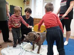 Zooterapie v mateřské škole