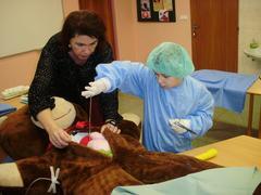 Zachraňme medvěda!