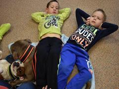 Zvířátka ve školce