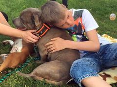 Zooterapie ve IV. třídě