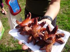 Loučení s prázdninami