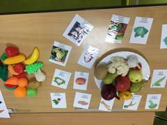 Podzimní sklizeň v IX. třídě