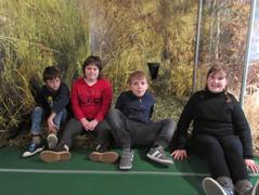 Vlastivědné muzeum