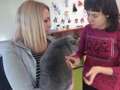 Kočičí návštěva