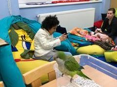 ZOOTERAPIE v VI. třídě