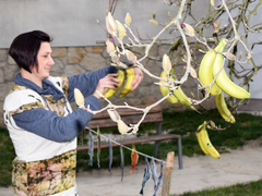 Dnes jím jako Angolan