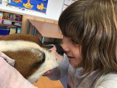 Zooterapie ve IV. třídě