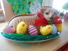 Posezení u beránka