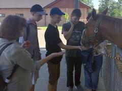 V. třída na Haldě