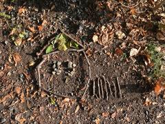 V. třída v Kunovském lese