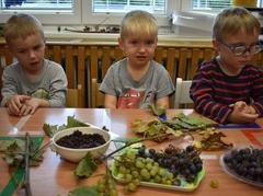 Vinobraní ve školce