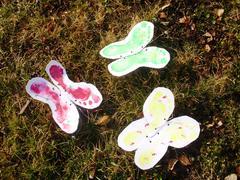 Jaro na motýlích křídlech