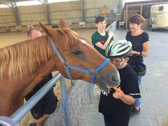 Začíná HIPOTERAPIE