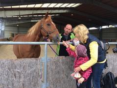 Třeťáci znovu na Haldě