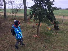 Krásné Vánoce všem!