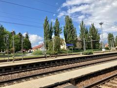 Páni kluci v ZOO Hodonín