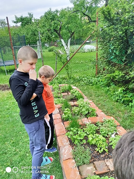 3.png, 450x600, 646.18 KB