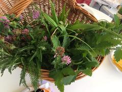 Bylinkové tvoření