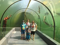 DRUHÁCI A ŽIVÁ VODA