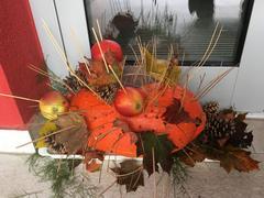 JEŽEK VE II. TŘÍDĚ