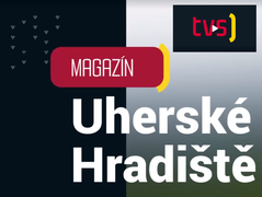 Televizní reportáž