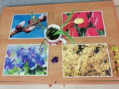 Jaro v VIII. třídě