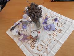 Jaro v naší třídě