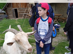 Zooterapie trochu jinak