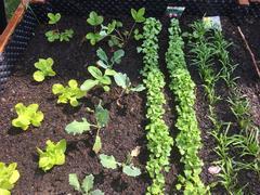 DRUHÁCI A PŘÍRODA