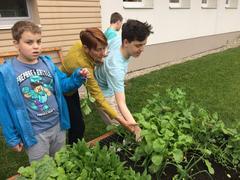 Sklízíme, co jsme zaseli,