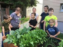 Co jsme si vypěstovali?