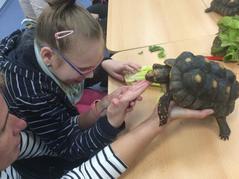 Společné setkání