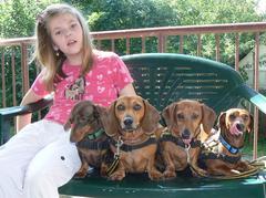 Canisterapie ve škole