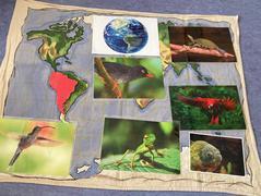 Křížem krážem po Zemi